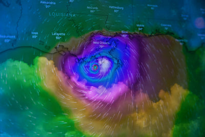 Pet Safety During Hurricane Irene 2025: How to Protect You Dog in a Hurricane