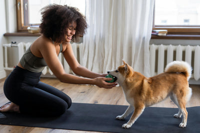 Can an Inflamed Nerve Cause Arthritis in Dogs? Unravel This Pet Health Mystery Now