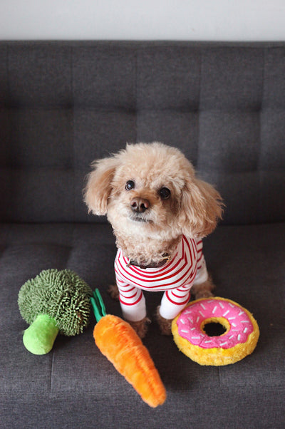 Dog Dementia Supplements: Cognitive Toys, Vital Supplements, and Service Dogs for Support