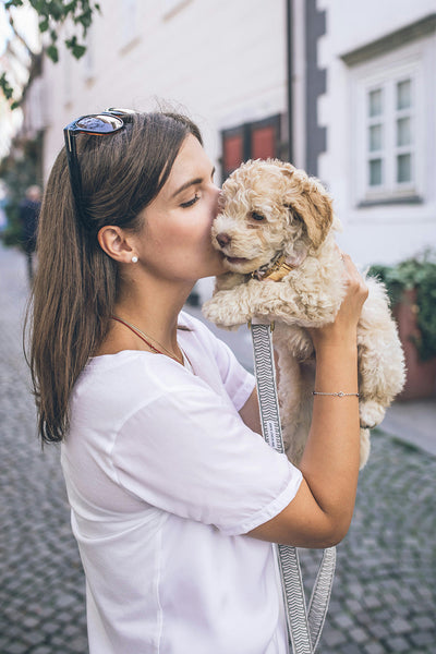 Grass Mites on Dogs: How Do I Know If My Dog Has Mites?