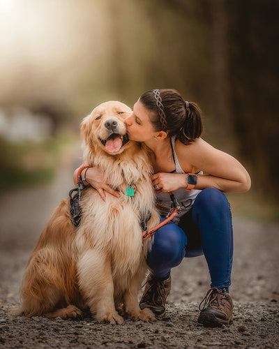 Povidone Iodine for Dogs: Is It Safe How to Use & Where to Buy
