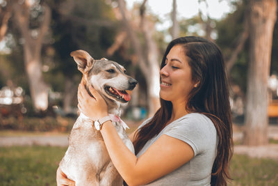 Why Does My Dog Scratches His Ears a Lot? Here're the Reasons and Solutions You Must Know