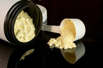 Can Dogs Safely Eat Human Protein Powder?