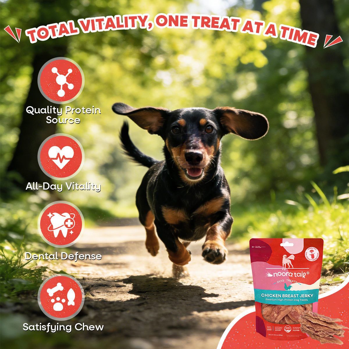 Noora Dog Treats Chicken Breast Jerky