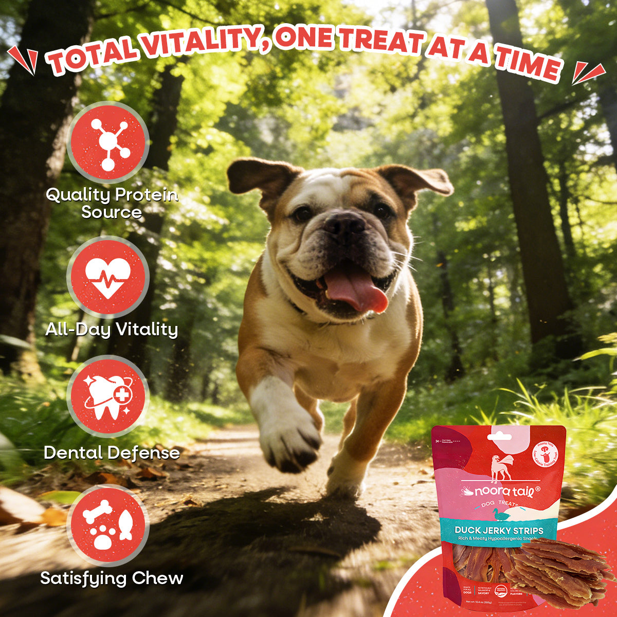 Noora Dog Treats Duck Jerky Strips