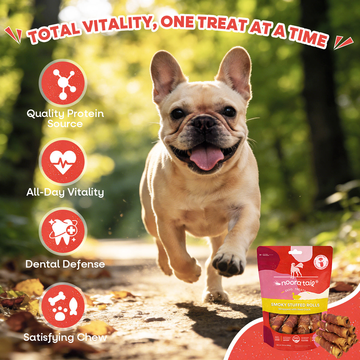 Noora Smoky Stuffed Rolls Wrapped with Duck Dog Treats